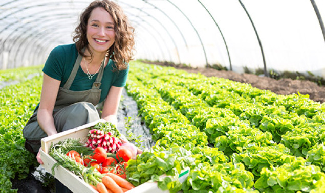 Laser perforated films - for long freshness 